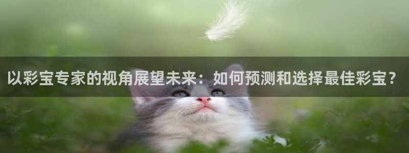 壹号娱乐app官网下载：以彩宝专家的视角展望未来：如何预测和选择最佳彩宝？