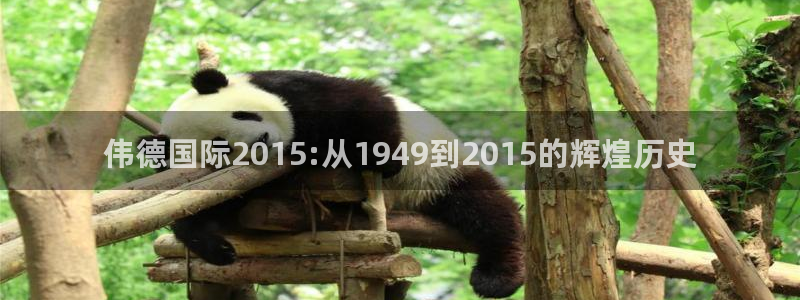 壹号app下载链接：伟德国际2015:从1949到2015的辉煌历史