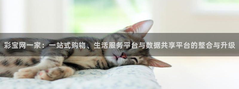 壹号娱乐下载：彩宝网一家：一站式购物、生活服务平台与数据共享平台的整合与升级