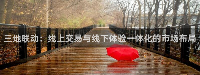 壹号app下载：三地联动：线上交易与线下体验一体化的市场布局