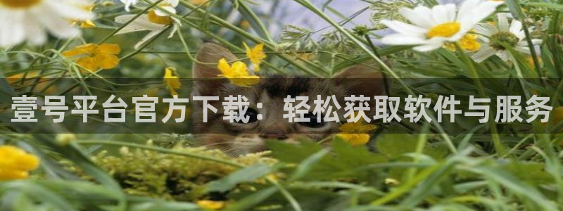壹号top娱乐：壹号平台官方下载：轻松获取软件与服务