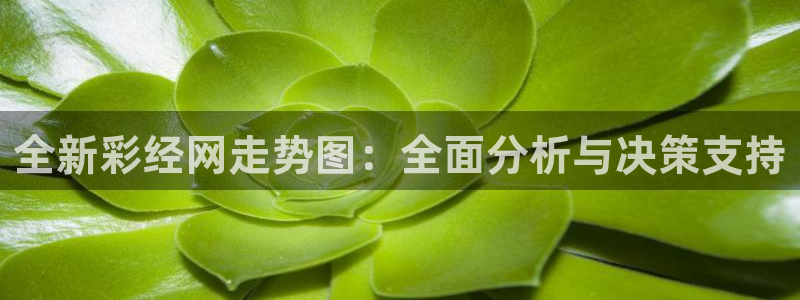 壹号app官网版下载：全新彩经网走势图：全面分析与决策支持
