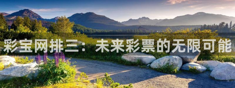 下载壹号娱乐app：彩宝网排三：未来彩票的无限可能