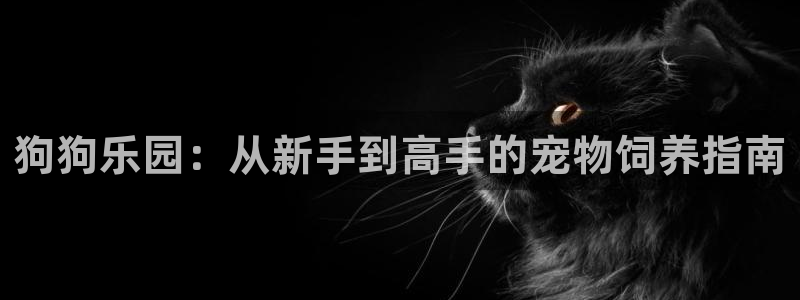 壹号娱乐(com.youad.authst)：狗狗乐园：从新手到高手的宠物饲养指南