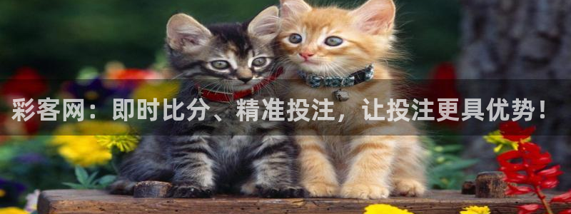 壹号娱乐,apk.：彩客网：即时比分、精准投注，让投注更具优势！
