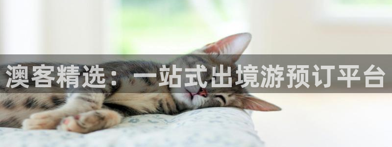 壹号大舞台：澳客精选：一站式出境游预订平台